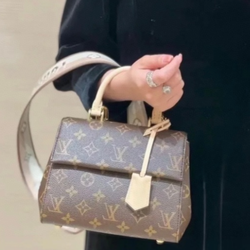 Louis Vuitton  M46055 Cluny Mini